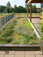 RoofGardenExample