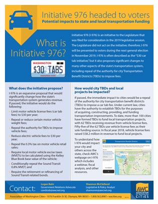 IssueBrief2019Initiative976large