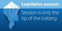 Legislative-iceberg-200-080124