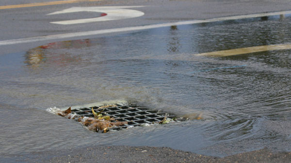 StormwaterGrate