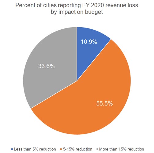 COVIDSurveyRevLoss2020ImpactBudget